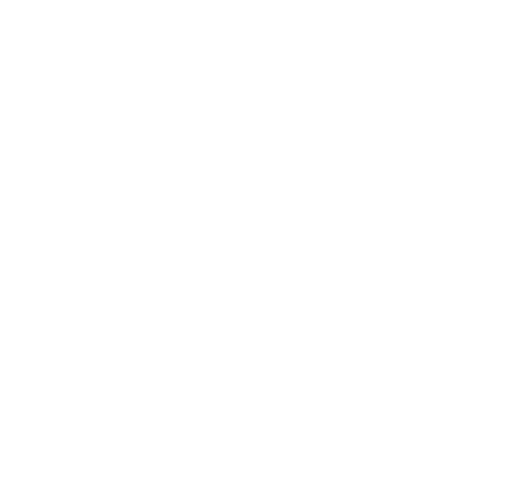QUBE X Logo